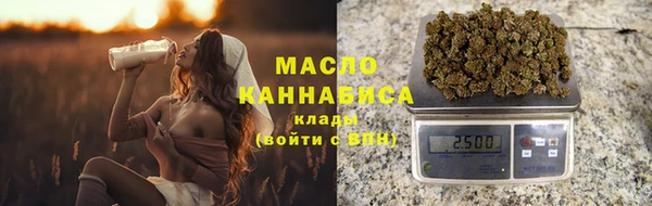 МДПВ Богородск