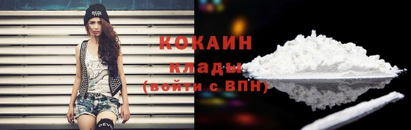 стафф Богородицк