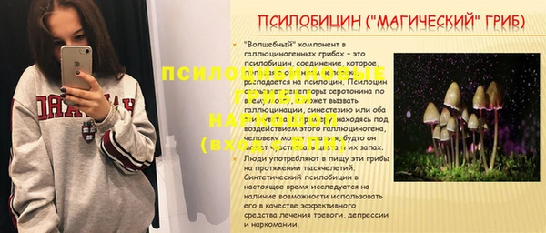 стафф Богородицк