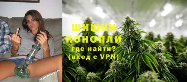 МДПВ Бронницы