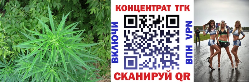 купить наркотики сайты  mega ссылки  Дистиллят ТГК гашишное масло  Верхняя Тура 