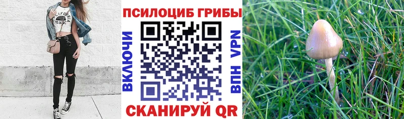 Галлюциногенные грибы прущие грибы  Верхняя Тура 